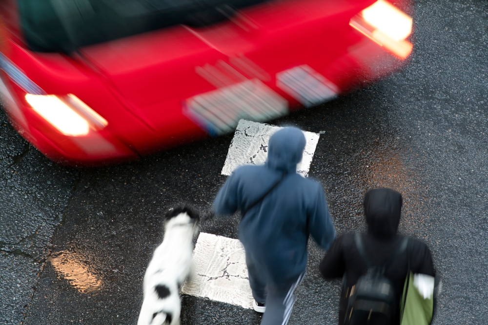 Two pedestrians with a dog crossing a wet street as a red car approaches a crosswalk in Clinton, Massachusetts.